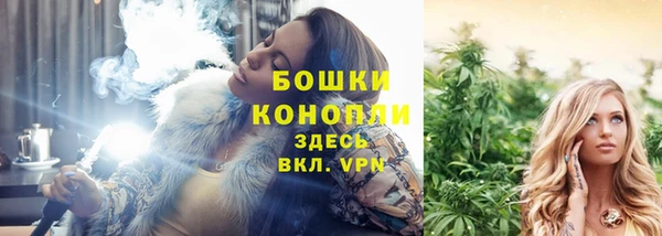 прущая мука Бородино